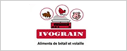 ivograin